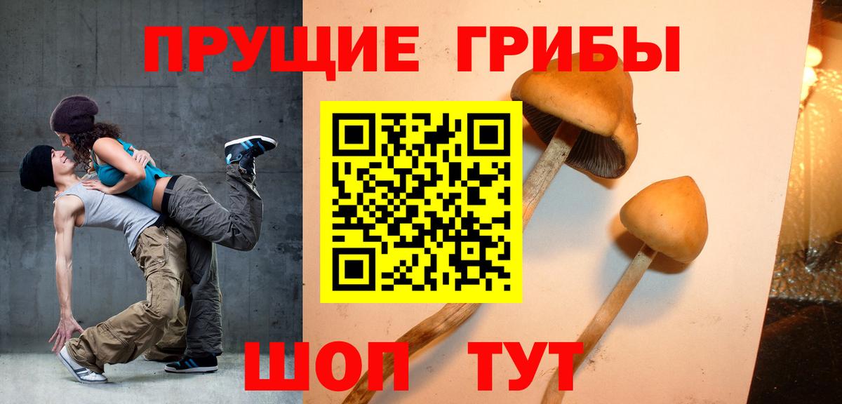 Галлюциногенные грибы Psilocybe  Вход с VPN  Ступино  Псилоцибиновые грибы GOLDEN TEACHER 