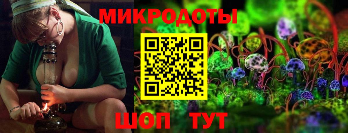 ГАШ Ступино